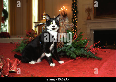 12/5/1993 - Photo de chaussettes le chat debout aux côtés de décorations de Noël dans la Maison Blanche Banque D'Images