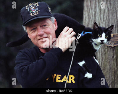 Photographie du Président William Jefferson Clinton avec chaussettes le chat perché sur l'épaule de Clinton Banque D'Images