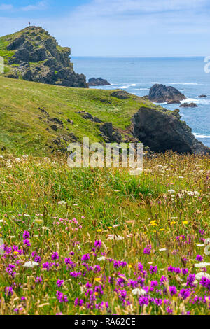 Partie de le paysage rocheux qui forme la zone autour de la péninsule de Lizard Point, à Cornwall où il la terre la plus méridionale des îles britanniques Banque D'Images