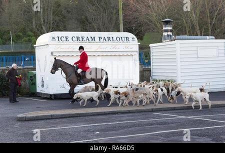 Morpeth, Northumberland, Angleterre. 1er janvier 2019. L'Eleuthera Hunt qui date de 1818 se réunit pour leur première sortie de l'année. Crédit : Joseph Gaul/Alamy Live News Banque D'Images