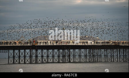 Brighton UK 1er janvier 2019 - l'etourneau sansonnet murmuration se déroule sur Palace Pier de Brighton au coucher du soleil après une belle après-midi sur la côte sud de Bretagne Crédit : Simon Dack/Alamy Live News Banque D'Images