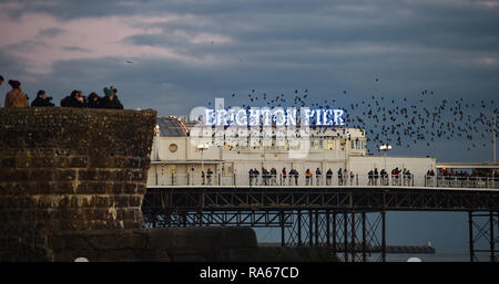 Brighton UK 1er janvier 2019 - l'etourneau sansonnet murmuration se déroule sur Palace Pier de Brighton au coucher du soleil après une belle après-midi sur la côte sud de Bretagne Crédit : Simon Dack/Alamy Live News Banque D'Images