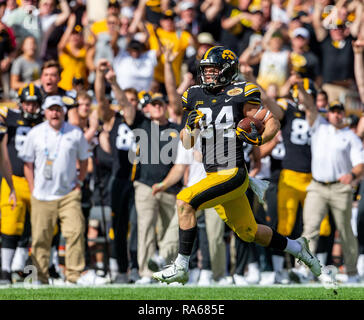 Tampa, Floride, USA. 06Th Jan, 2019. L'Iowa Hawkeyes wide receiver Nick Easley (84) exécute 75 verges pour un touché dans le premier semestre pendant le jeu entre le Mississippi State Bulldogs et l'Iowa Hawkeyes dans l'Outback Bowl chez Raymond James Stadium de Tampa, Floride. Del Mecum/CSM/Alamy Live News Banque D'Images