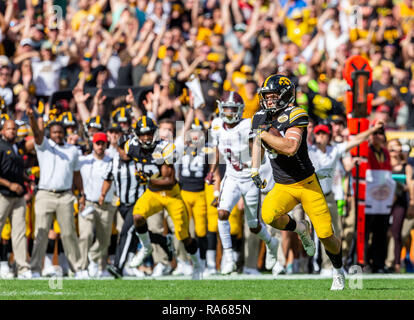 Tampa, Floride, USA. 06Th Jan, 2019. L'Iowa Hawkeyes wide receiver Nick Easley (84) exécute 75 verges pour un touché dans le premier semestre pendant le jeu entre le Mississippi State Bulldogs et l'Iowa Hawkeyes dans l'Outback Bowl chez Raymond James Stadium de Tampa, Floride. Del Mecum/CSM/Alamy Live News Banque D'Images