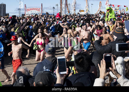 Brooklyn, NY, USA. 1er janvier 2019. Le Coney Island Polar Bear Club annuel du Jour de l'an nager à Coney Island à Brooklyn, New York le 1 janvier 2019. Crédit : Michael Brochstein/ZUMA/Alamy Fil Live News Banque D'Images