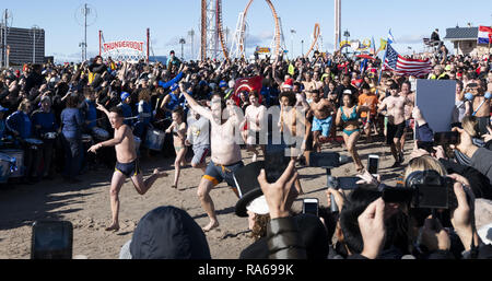 Brooklyn, NY, USA. 1er janvier 2019. Le Coney Island Polar Bear Club annuel du Jour de l'an nager à Coney Island à Brooklyn, New York le 1 janvier 2019. Crédit : Michael Brochstein/ZUMA/Alamy Fil Live News Banque D'Images