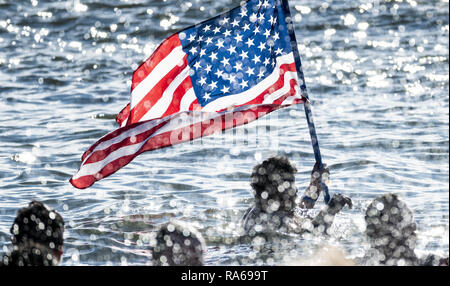 Brooklyn, NY, USA. 1er janvier 2019. Le Coney Island Polar Bear Club annuel du Jour de l'an nager à Coney Island à Brooklyn, New York le 1 janvier 2019. Crédit : Michael Brochstein/ZUMA/Alamy Fil Live News Banque D'Images