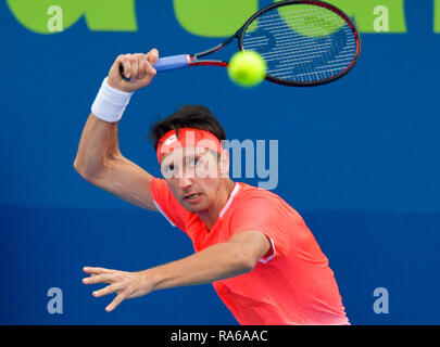 Doha, Qatar. 1er janvier 2019. Sergiy Stakhovsky de l'Ukraine renvoie la balle au cours du premier match contre Marco Cecchinato de l'Italie à l'ATP de l'Open du Qatar de tennis à Doha, capitale du Qatar, le 1 er janvier 2019. Credit : Nikku/Xinhua/Alamy Live News Banque D'Images