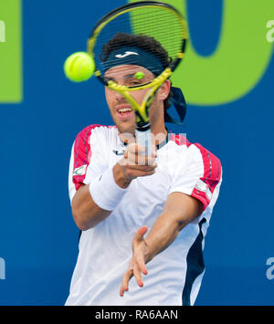 Doha, Qatar. 1er janvier 2019. Marco Cecchinato de l'Italie renvoie la balle au cours du premier match contre Sergiy Stakhovsky de l'Ukraine à l'ATP de l'Open du Qatar de tennis à Doha, capitale du Qatar, le 1 er janvier 2019. Credit : Nikku/Xinhua/Alamy Live News Banque D'Images