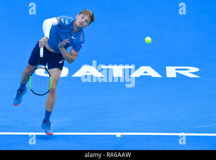 Doha, Qatar. 1er janvier 2019. David Goffin sert de la Belgique au cours de la première ronde des célibataires match contre Ricardas Berankis de Lituanie au match de tennis ATP Open du Qatar à Doha, capitale du Qatar, le 1 er janvier 2019. Credit : Nikku/Xinhua/Alamy Live News Banque D'Images