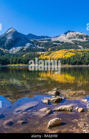 La couleur en automne au camping du lac perdu au large de Kebler Pass Road dans le Colorado. Banque D'Images