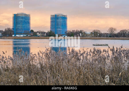 Woodberry Zones Humides, North London UK, au crépuscule en hiver, avec tour de blocs en arrière-plan Banque D'Images