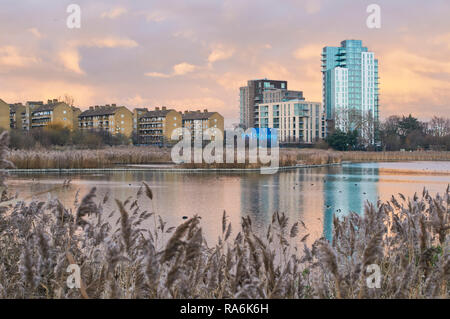 Réserve naturelle des zones humides Woodberry, North London UK, au crépuscule, en janvier, avec de nouveaux immeubles à appartements Banque D'Images