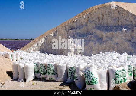 Rempli de sacs de sel à côté d'une colline de sel au Lac Rose, région de Dakar, Sénégal Banque D'Images