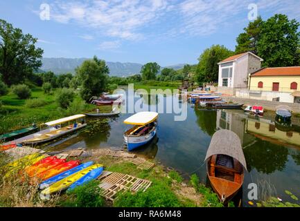 Des bateaux d'excursion, Virpazar, le lac de Skadar, Skadarsko Jezero, le parc national du lac de Skadar, par Bar, Monténégro Banque D'Images