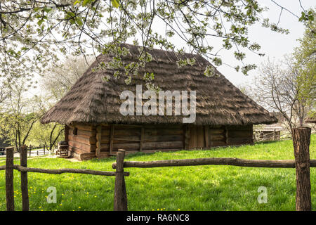 Ancienne maison de l'Ukraine avec toit de paille et fleurs de cerisier au printemps Banque D'Images