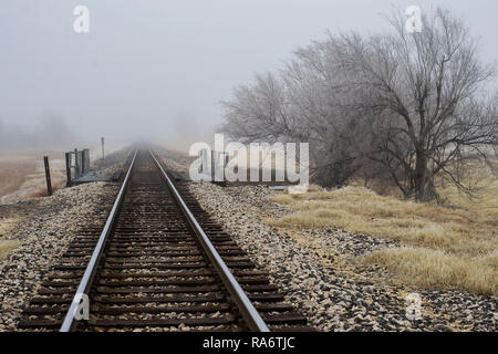 Voie ferrée dans la région de Alpine, Texas, sur une soirée d'hiver brumeux. Banque D'Images