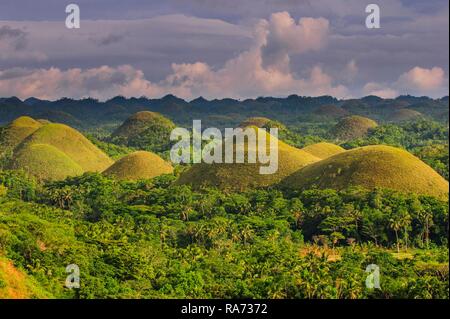 Collines de chocolat, Bohol, Philippines Banque D'Images