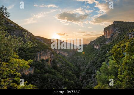 Pentes boisées, la Gorge verte, Coucher de soleil, Garganta Verde, Sierra de Cádiz, Cadix, Espagne Banque D'Images