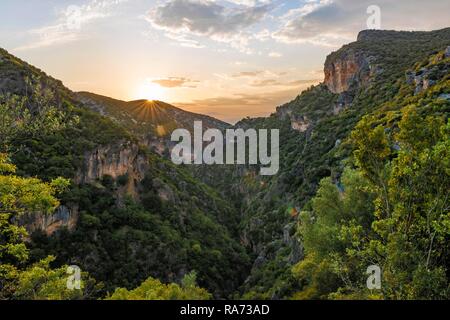 Pentes boisées, la Gorge verte, Coucher de soleil, Garganta Verde, Sierra de Cádiz, Cadix, Espagne Banque D'Images