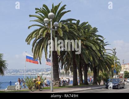 Promenade de la plage, Nice, Alpes-Maritimes, Provence-Alpes-Côte d'Azur, France Banque D'Images