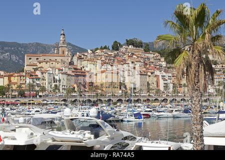 Vieille ville et marina, Menton, Côte d'Azur, Provence-Alpes-Côte d'Azur, France Banque D'Images