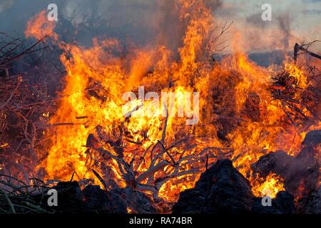 Feu de Pâques, Neetze, Basse-Saxe, Allemagne Banque D'Images