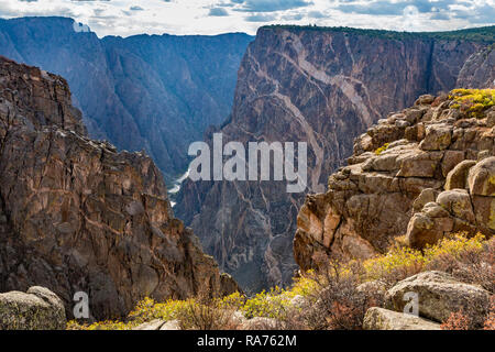 Couvre-sol coloré d'automne sur le bord de la Black Canyon of the Gunnison, Colorado. Banque D'Images