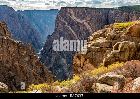 Couvre-sol coloré d'automne sur le bord de la Parc National Black Canyon of the Gunnison, Colorado. Banque D'Images