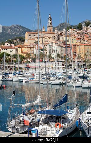 Vieille ville et du port de plaisance, Menton, Côte d'Azur, France Banque D'Images