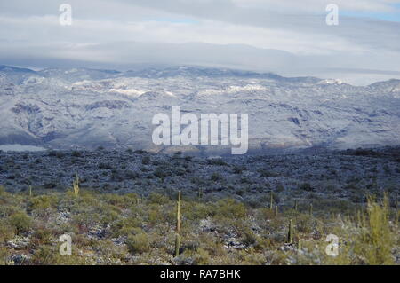 Une nouvelle année blanche avec de la neige autour de Tucson, Arizona Banque D'Images