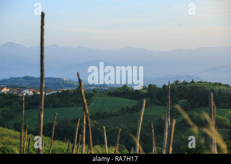 Le paysage de vignes dans la région du Piémont en Italie du Nord, près de Barolo Banque D'Images