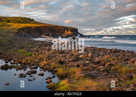Driftwood lavé à terre, assise sur des rochers ronds très onctueux. Les promontoires accidentés spectaculaire dans l'arrière-plan baigné de soleil en fin d'après-midi. Banque D'Images