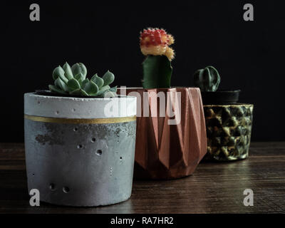 Cuivre peint moderne, blanc et couleur or béton géométrique semoir avec des cactus ou succulentes sur table en bois isolé sur zone noire Banque D'Images