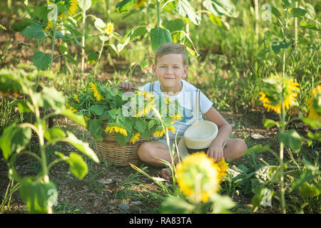 Beau garçon mignon sur champ de tournesol heureux de passer du temps dans l'élégant quartier de robe. Banque D'Images