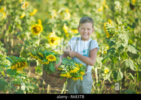 Beau garçon mignon sur champ de tournesol heureux de passer du temps dans l'élégant quartier de robe. Banque D'Images