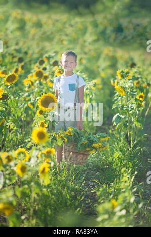 Beau garçon mignon sur champ de tournesol heureux de passer du temps dans l'élégant quartier de robe. Banque D'Images