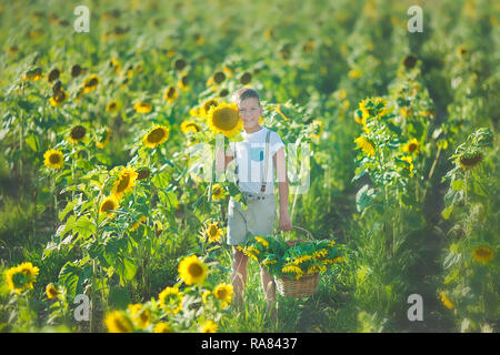 Beau garçon mignon sur champ de tournesol heureux de passer du temps dans l'élégant quartier de robe. Banque D'Images