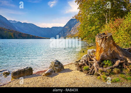 Le lac de Bohinj, parc national du Triglav, Alpes Juliennes, en Slovénie Banque D'Images