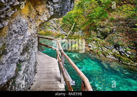 Slovénie - Gorges de Vintgar, parc national du Triglav, Alpes Juliennes Banque D'Images