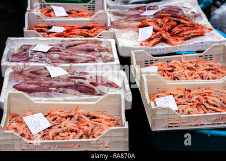 Crevettes crevettes roses et rouges frais calamary à vendre dans le marché aux poissons de Catane, Sicile, Italie Banque D'Images