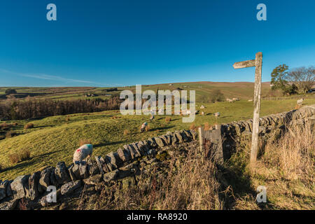 North Pennines paysage de l'AONB, vue vers l'ouest sur la vallée de l'Hudeshope dans strong winter sunshine et un ciel bleu clair Banque D'Images