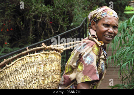 Vieille Femme tanzanienne fonctionne en ferme de café au nord de la Tanzanie Karatu Banque D'Images