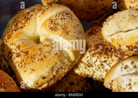 Tout fraîchement cuits bagels au matin, marché de producteurs avec l'oignon et de sésame Graines de pavot ainsi que l'ail Banque D'Images