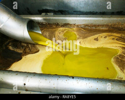 Afin que l'huile d'olive dans une carafe en métal à l'intérieur d'un moulin à huile Banque D'Images