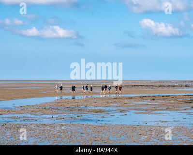 Groupe de personnes de boue randonnée sur mer des Wadden à marée basse à partir de la frise à l'Ouest île Ameland, Pays-Bas Banque D'Images