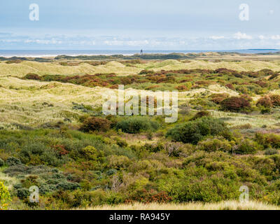 Panorama de dunes et littoral de la mer du Nord de la réserve naturelle Het Oerd sur l'île de Frise occidentale, Frise, Pays-Bas Banque D'Images