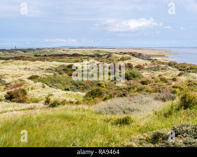 Panorama de la côte de la mer des Wadden et les dunes de la réserve naturelle Het Oerd sur l'île de Frise occidentale, Frise, Pays-Bas Banque D'Images