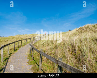 Sentier entre les barrières en bois menant à viewpoint dune avec les gens en réserve naturelle Het Oerd sur l'île de Frise occidentale, Frise, Netherla Banque D'Images