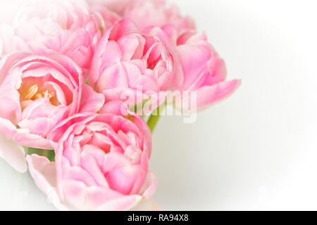 Bouquet de fleurs tulipes dans des tons de rose, blanc contre l'arrière-plan modèle romantique et nostalgique pour les fleuristes et les cartes de souhaits Banque D'Images